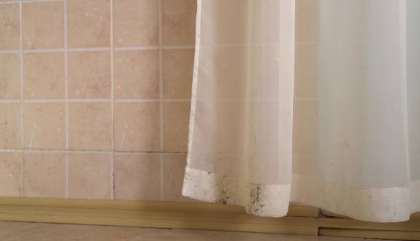 Mold Documentation for Insurance Claims in Ara, AL