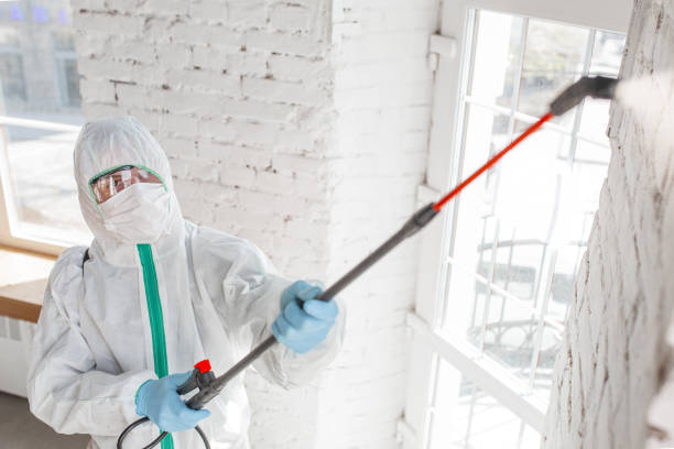 Best Comprehensive Air Testing for Mold Contaminants  in Ara, AL
