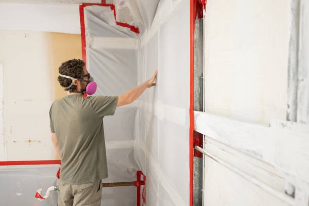 Best Mold Documentation for Insurance Claims  in Ara, AL
