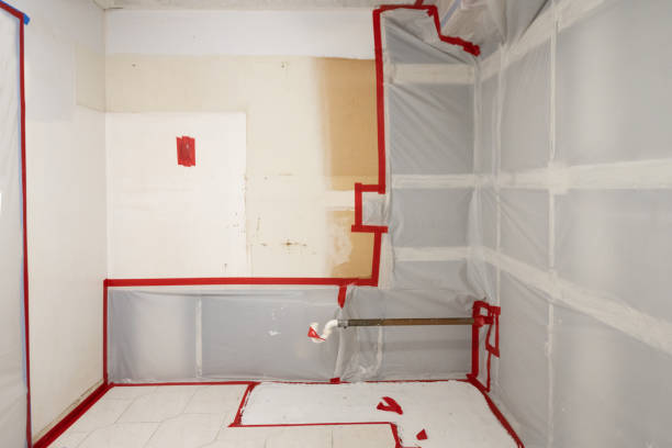 Best Asbestos and Lead Testing During Mold Inspection  in Ara, AL