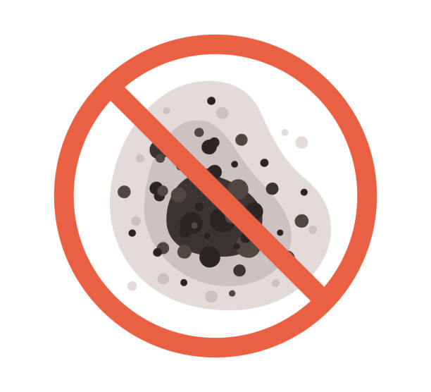 Ara, AL Mold Removal Company