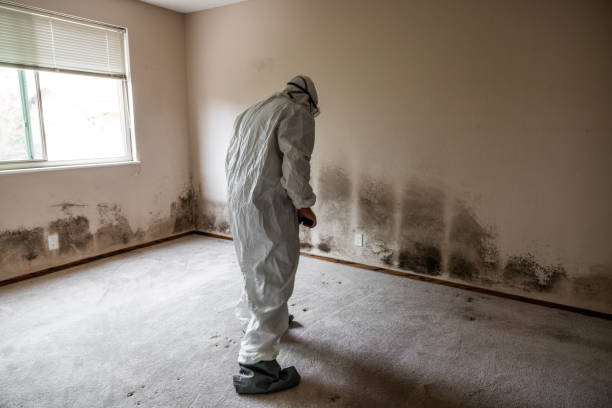 Best Commercial Mold Inspection  in Ara, AL